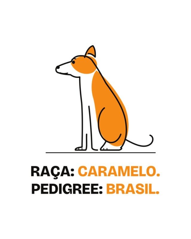 Camiseta Raça Caramelo Pedigree Brasil Vira-Lata Minimal Linha Unissex 100% Algodão, foto 4