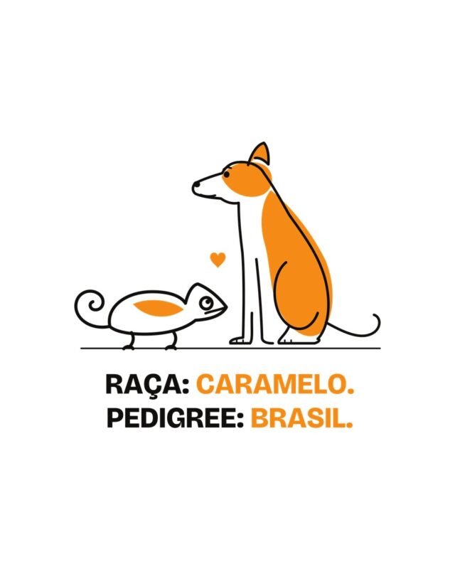 Camiseta Raça Caramelo Pedigree Brasil Vira-Lata com Camaleão Minimal Linha Unissex 100% Algodão, foto 4